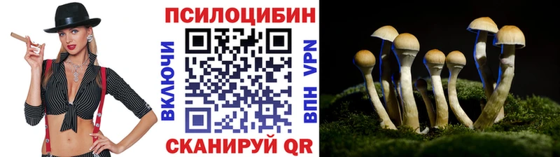 Псилоцибиновые грибы Psilocybine cubensis  продажа наркотиков  Тотьма 